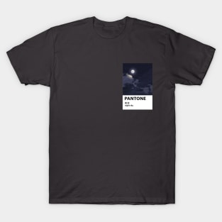 Anime Aesthetic Pantone T-Shirt